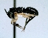  ( - YB-DD1041BC)  @12 [ ] No Rights Reserved  Unspecified Unspecified