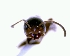  ( - YB-DD1044BC)  @12 [ ] No Rights Reserved  Unspecified Unspecified