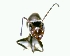  ( - YB-DD1075BC)  @12 [ ] No Rights Reserved  Unspecified Unspecified