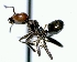  (Azteca ACG6019 - YB-DD1077BC)  @14 [ ] No Rights Reserved  Unspecified Unspecified