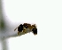  ( - YB-DD1082BC)  @12 [ ] No Rights Reserved  Unspecified Unspecified