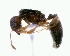  ( - YB-DD1086BC)  @13 [ ] No Rights Reserved  Unspecified Unspecified