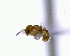  ( - YB-DD1087BC)  @12 [ ] No Rights Reserved  Unspecified Unspecified