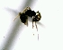  ( - YB-DD1088BC)  @12 [ ] No Rights Reserved  Unspecified Unspecified