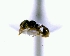  ( - YB-DD1099BC)  @12 [ ] No Rights Reserved  Unspecified Unspecified