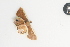  ( - YB-BCI184768)  @11 [ ] No Rights Reserved  Unspecified Unspecified