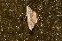  ( - YB-BCI187510)  @11 [ ] No Rights Reserved  Unspecified Unspecified