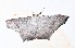 ( - YB-BCI188555)  @11 [ ] No Rights Reserved  Unspecified Unspecified