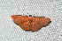  ( - YB-BCI189589)  @11 [ ] No Rights Reserved  Unspecified Unspecified