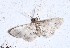  ( - YB-BCI191718)  @11 [ ] No Rights Reserved  Unspecified Unspecified
