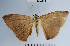 ( - YB-BCI37982)  @13 [ ] No Rights Reserved  Unspecified Unspecified