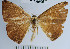  ( - YB-BCI46931)  @13 [ ] No Rights Reserved  Unspecified Unspecified