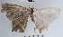  ( - YB-BCI63260)  @13 [ ] No Rights Reserved  Unspecified Unspecified