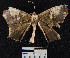  ( - YB-BCI22626)  @12 [ ] No Rights Reserved  Unspecified Unspecified
