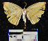  ( - YB-BCI20436)  @13 [ ] No Rights Reserved  Unspecified Unspecified