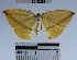  ( - YB-BCI32582)  @11 [ ] No Rights Reserved  Unspecified Unspecified