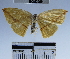  ( - YB-BCI52069)  @13 [ ] No Rights Reserved  Unspecified Unspecified