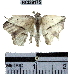  ( - YB-BCI39175)  @12 [ ] No Rights Reserved  Unspecified Unspecified