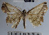  ( - YB-BCI45725)  @11 [ ] No Rights Reserved  Unspecified Unspecified