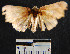  ( - YB-BCI7672)  @12 [ ] No Rights Reserved  Unspecified Unspecified