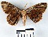  ( - YB-BCI17390)  @11 [ ] No Rights Reserved  Unspecified Unspecified