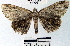  ( - YB-BCI40212)  @11 [ ] No Rights Reserved  Unspecified Unspecified