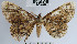  ( - YB-BCI40445)  @13 [ ] No Rights Reserved  Unspecified Unspecified