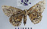  ( - YB-BCI60300)  @12 [ ] No Rights Reserved  Unspecified Unspecified