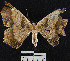  ( - YB-BCI18410)  @12 [ ] No Rights Reserved  Unspecified Unspecified