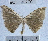  ( - YB-BCI20270)  @12 [ ] No Rights Reserved (2011) Unspecified Unspecified