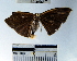  ( - YB-BCI49068)  @12 [ ] No Rights Reserved  Unspecified Unspecified