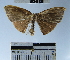  ( - YB-BCI49158)  @12 [ ] No Rights Reserved  Unspecified Unspecified