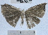  ( - YB-BCI32422)  @12 [ ] No Rights Reserved (2011) Unspecified Unspecified