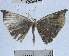  ( - YB-BCI40870)  @11 [ ] No Rights Reserved (2011) Unspecified Unspecified