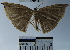  ( - YB-BCI45111)  @12 [ ] No Rights Reserved  Unspecified Unspecified
