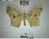  ( - YB-BCI184358)  @11 [ ] No Rights Reserved  Unspecified Unspecified