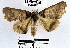  ( - YB-BCI38252)  @13 [ ] No Rights Reserved  Unspecified Unspecified