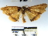  ( - YB-BCI51891)  @13 [ ] No Rights Reserved  Unspecified Unspecified