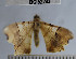  ( - YB-BCI52243)  @12 [ ] No Rights Reserved  Unspecified Unspecified