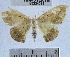  ( - YB-BCI34031)  @13 [ ] No Rights Reserved (2011) Unspecified Unspecified