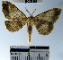  ( - YB-BCI33487)  @11 [ ] No Rights Reserved  Unspecified Unspecified