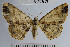  ( - YB-BCI61759)  @12 [ ] No Rights Reserved  Unspecified Unspecified