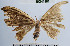  ( - YB-BCI41181)  @12 [ ] No Rights Reserved  Unspecified Unspecified