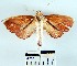  ( - YB-BCI14607)  @13 [ ] No Rights Reserved  Unspecified Unspecified
