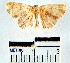  ( - YB-BCI17963)  @12 [ ] No Rights Reserved  Unspecified Unspecified