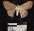  ( - YB-BCI13936)  @13 [ ] No Rights Reserved  Unspecified Unspecified