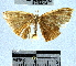  ( - YB-BCI33234)  @12 [ ] No Rights Reserved  Unspecified Unspecified