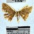  ( - YB-BCI33845)  @12 [ ] No Rights Reserved  Unspecified Unspecified