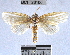  ( - YB-BCI26100)  @13 [ ] No Rights Reserved  Unspecified Unspecified