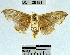  ( - YB-BCI26181)  @12 [ ] No Rights Reserved  Unspecified Unspecified